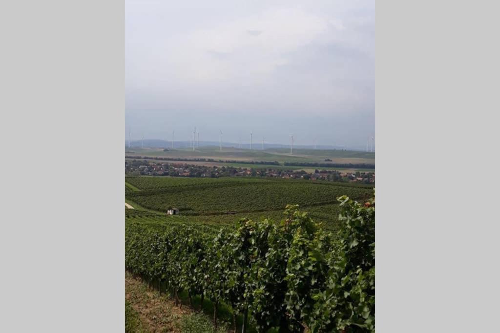 Apartamento Wohlfühlen im rheinhessischen Backsteinhaus Armsheim Exterior foto